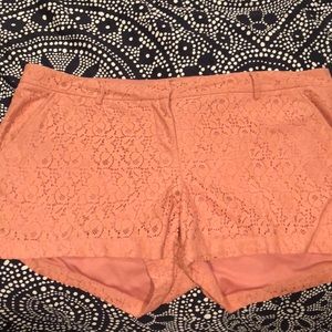 Torrid Lacy Shorts